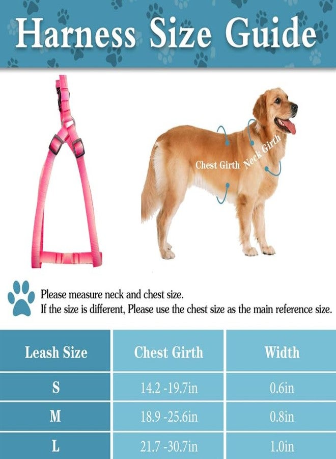 KittuPet Dog Harness and Leash Set, Cute Dog Harness with Leash for Small, Medium and Large Dogs, Girl Female and Boy Dog Harness, Pink White - Harness Set, M - Image 4